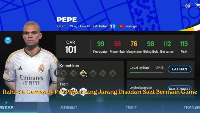 Rahasia Gameplay Pro